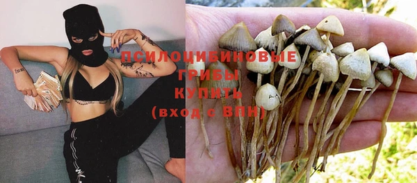 первитин Магас